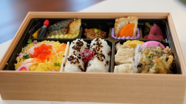 #6. 新しい敦賀駅の混雑と北陸新幹線弁当｜2024年8月